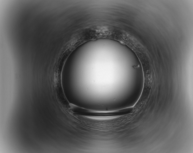 X0000097870756200803211314