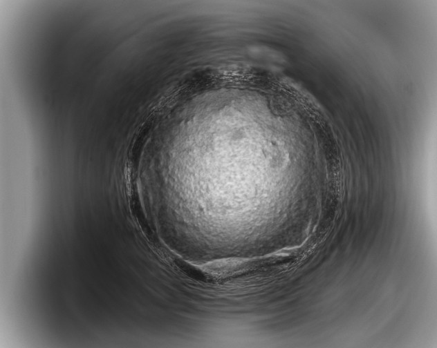 X0000097870757200803211314