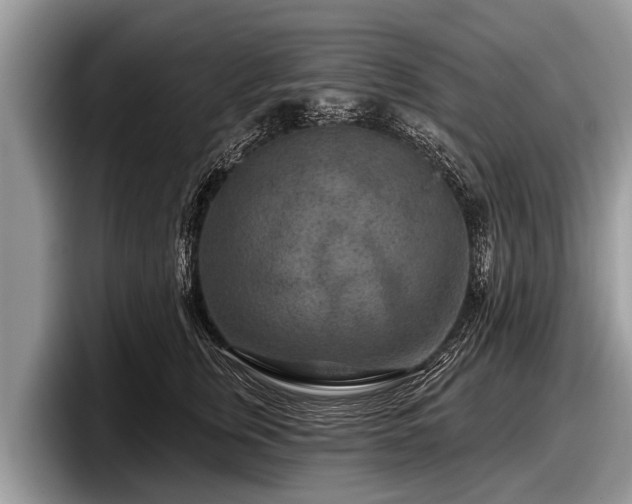 X0000097870759200803211314