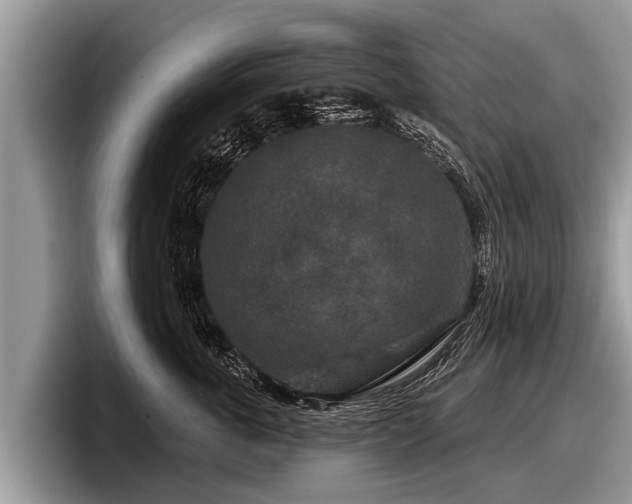 X0000097870763200803211314