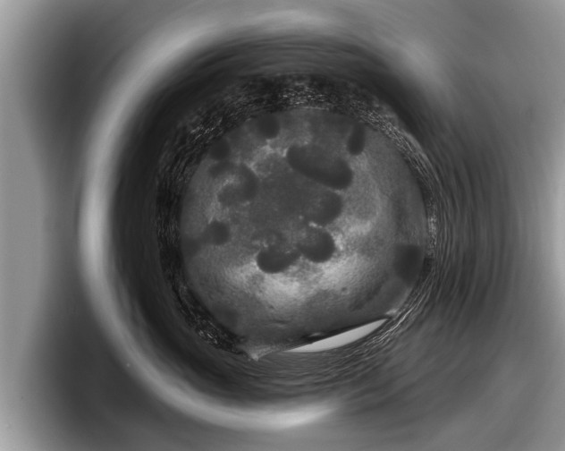 X0000097870765200803211314