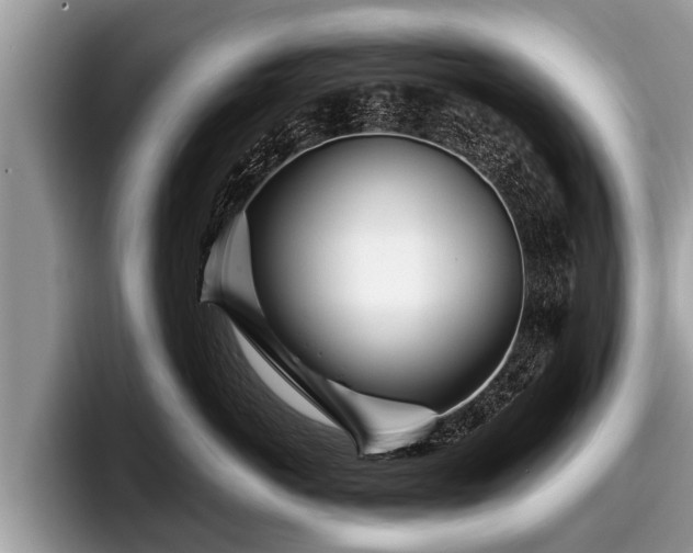 X0000097870766200803211314