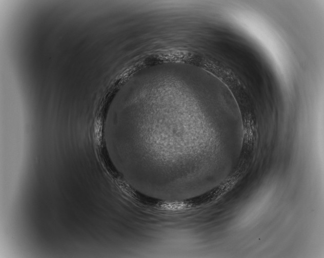 X0000097870767200803211314