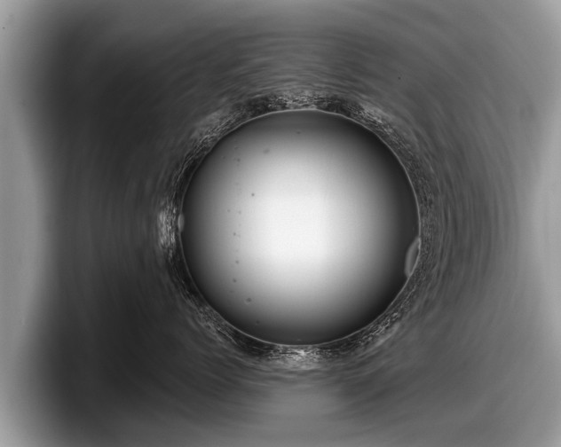 X0000097870768200803211314