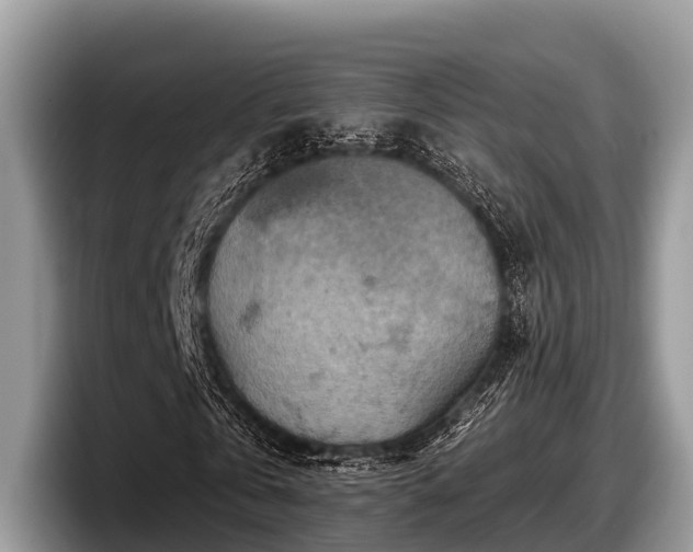 X0000097870769200803211313