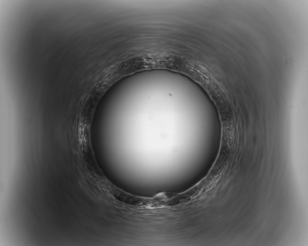 X0000097870770200803211313