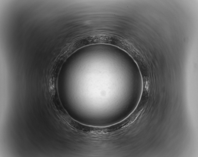 X0000097870771200803211313
