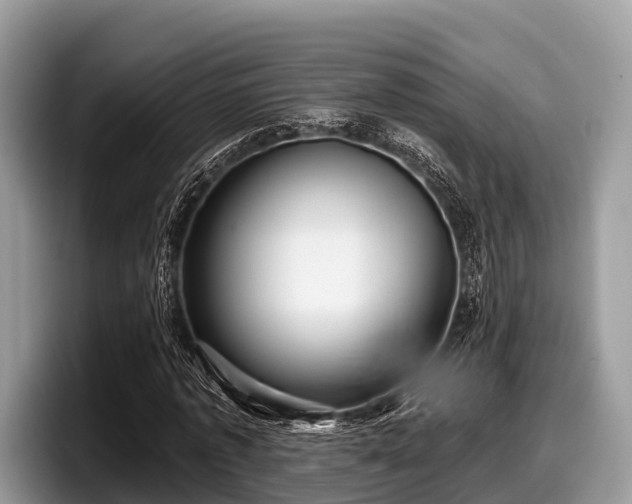 X0000097870773200803211313