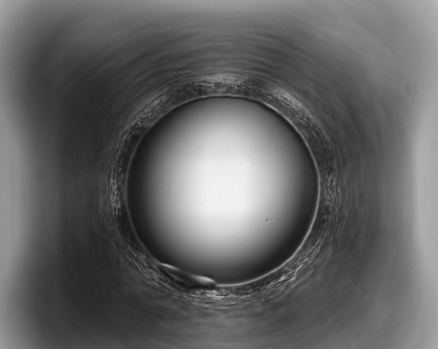 X0000097870774200803211313