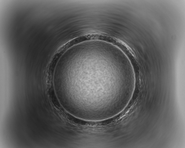 X0000097870775200803211313