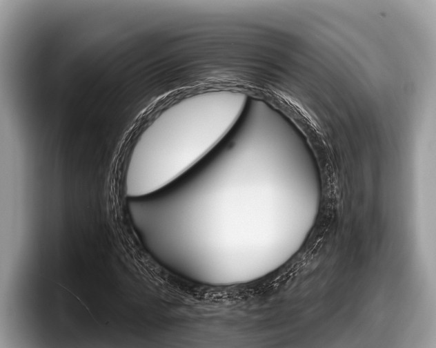 X0000097870776200803211313