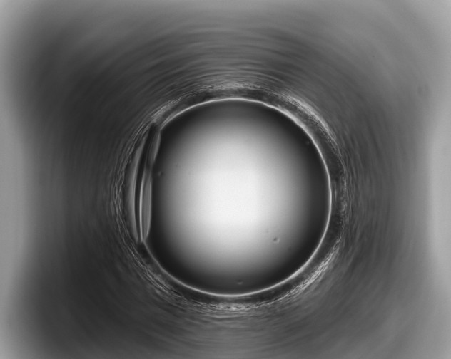 X0000097870777200803211313