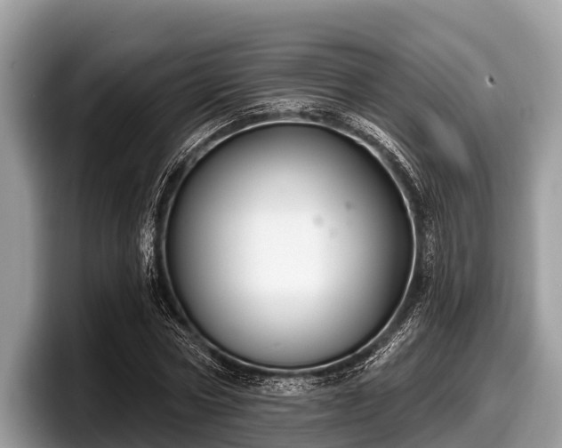 X0000097870778200803211313
