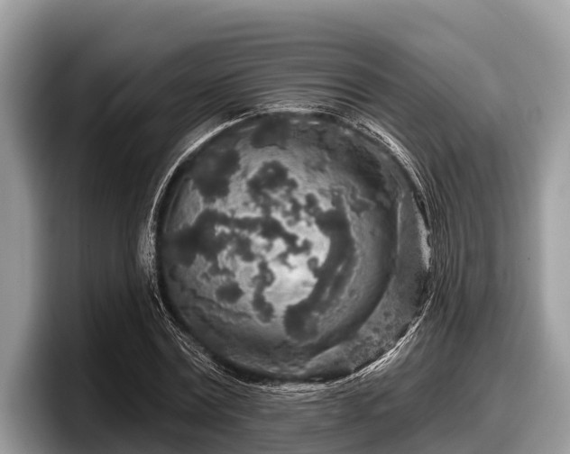 X0000097870779200803211313