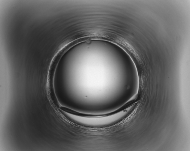 X0000097870780200803211313