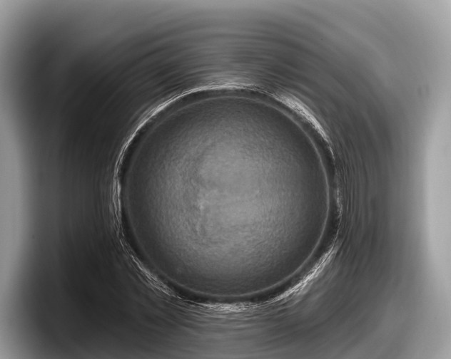 X0000097870781200803211313