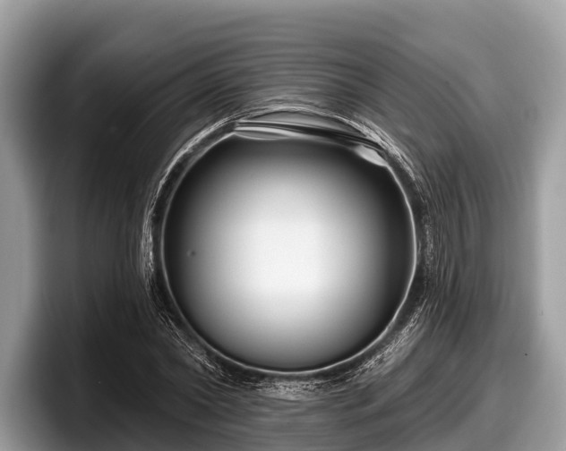 X0000097870782200803211313