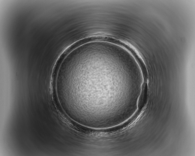 X0000097870783200803211313