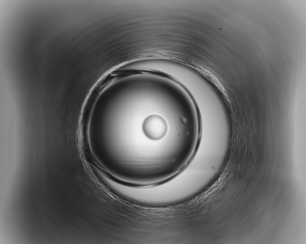 X0000097870784200803211313