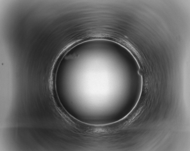X0000097870787200803211313