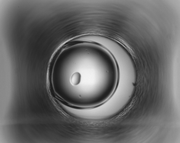 X0000097870788200803211313