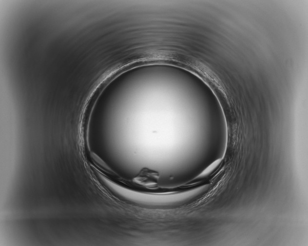 X0000097870789200803211313