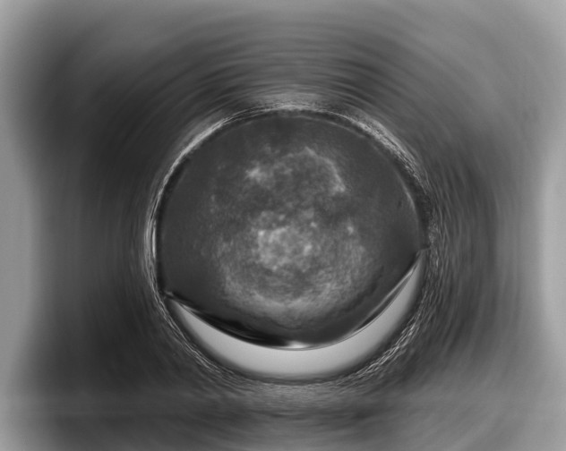 X0000097870790200803211313
