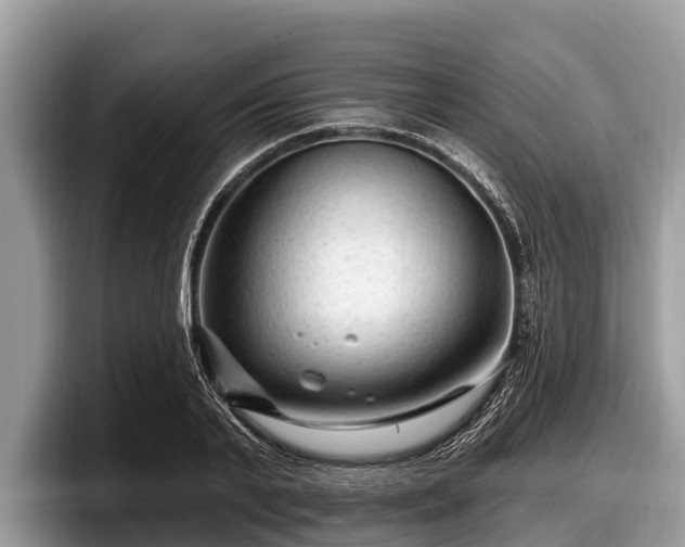 X0000097870791200803211313