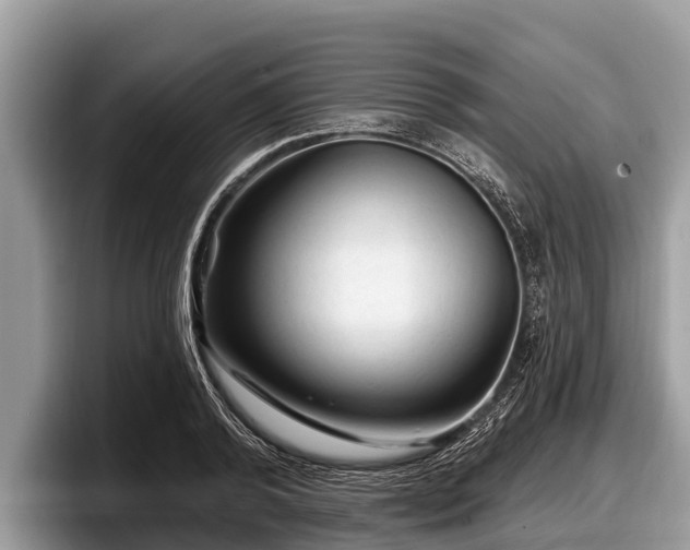 X0000097870792200803211313