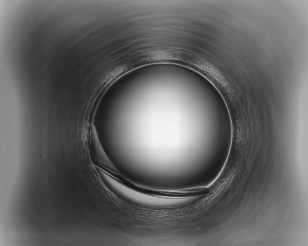 X0000097870793200803211313