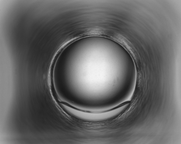 X0000097870795200803211313