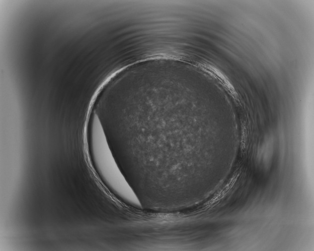 X0000097870796200803211313