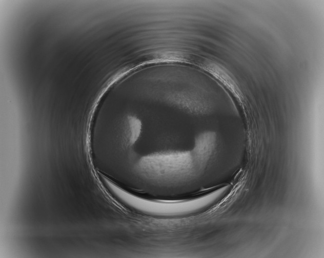 X0000097870797200803211313