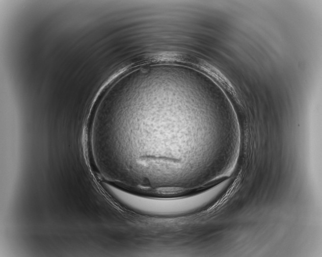X0000097870798200803211313