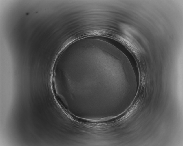 X0000097870802200803211313
