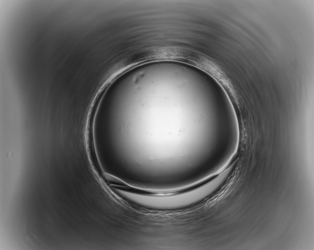 X0000097870803200803211313