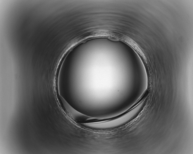 X0000097870805200803211313