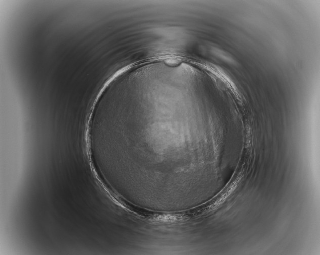 X0000097870806200803211313
