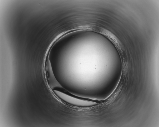 X0000097870808200803211313