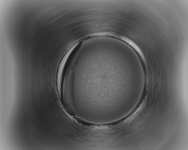 X0000097870809200803211313