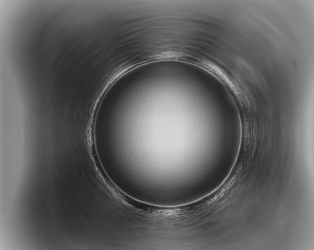 X0000097870810200803211313
