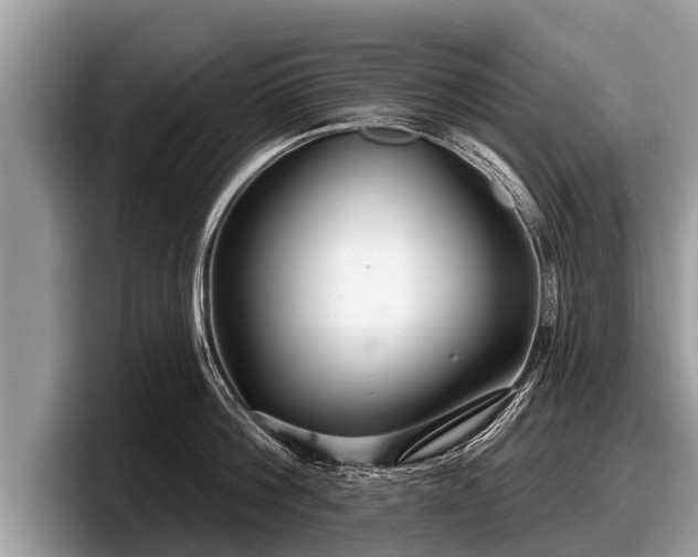 X0000097870812200803211313