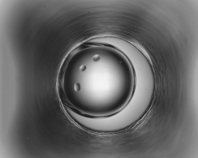 X0000097870813200803211313