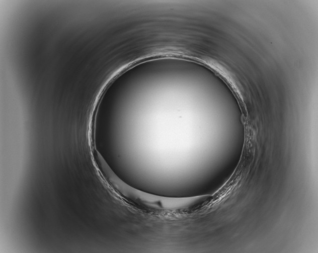 X0000097870815200803211313