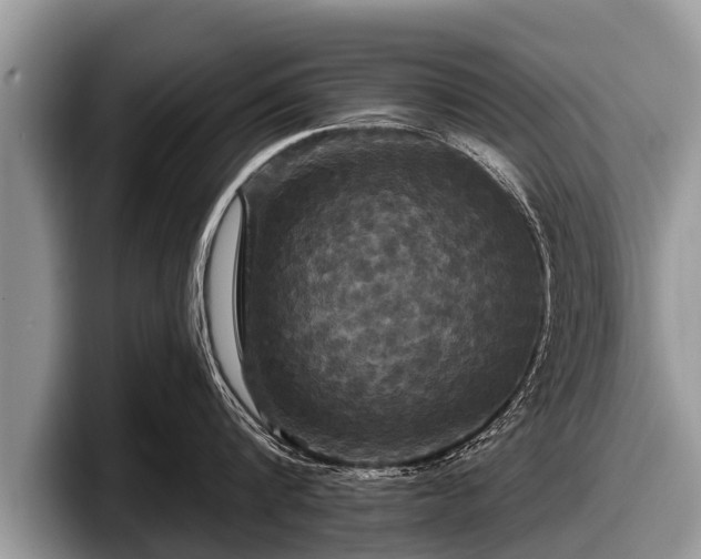 X0000097870816200803211313