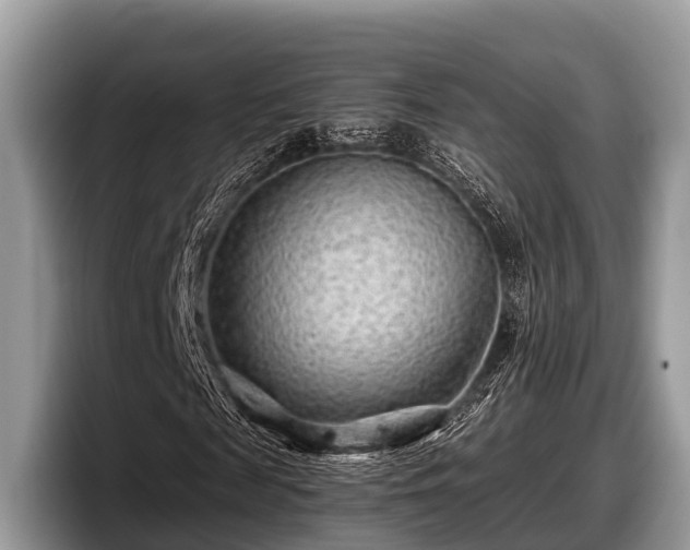 X0000097870817200803211312
