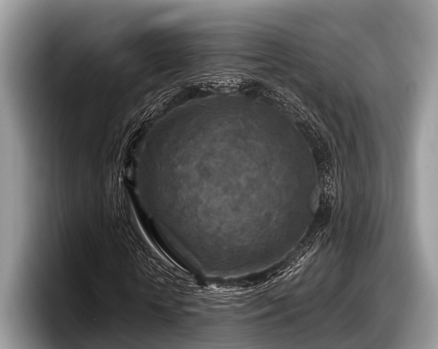 X0000097870818200803211312