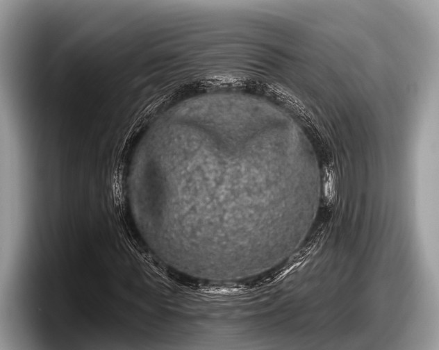 X0000097870819200803211312