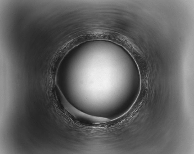 X0000097870821200803211312