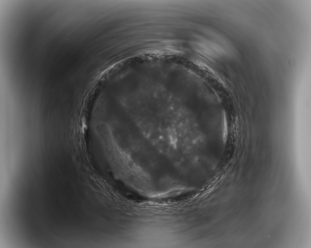 X0000097870822200803211312